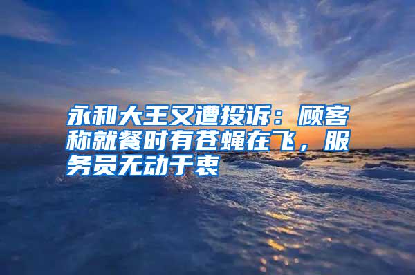 永和大王又遭投訴：顧客稱(chēng)就餐時(shí)有蒼蠅在飛，服務(wù)員無(wú)動(dòng)于衷