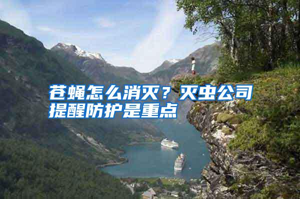 蒼蠅怎么消滅？滅蟲公司提醒防護是重點
