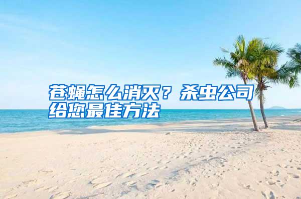 蒼蠅怎么消滅？殺蟲(chóng)公司給您最佳方法
