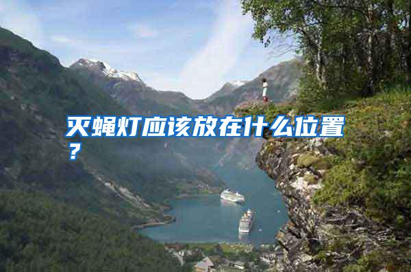滅蠅燈應(yīng)該放在什么位置？