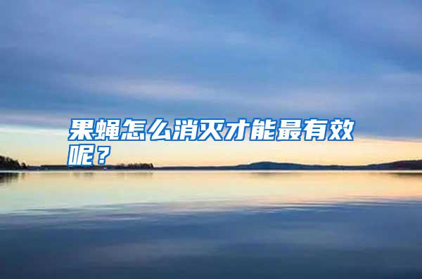 果蠅怎么消滅才能最有效呢？