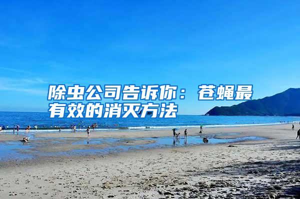 除蟲(chóng)公司告訴你：蒼蠅最有效的消滅方法