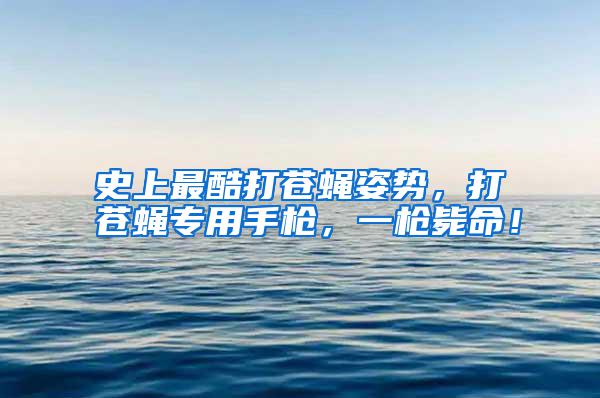 史上最酷打蒼蠅姿勢，打蒼蠅專用手槍，一槍斃命！