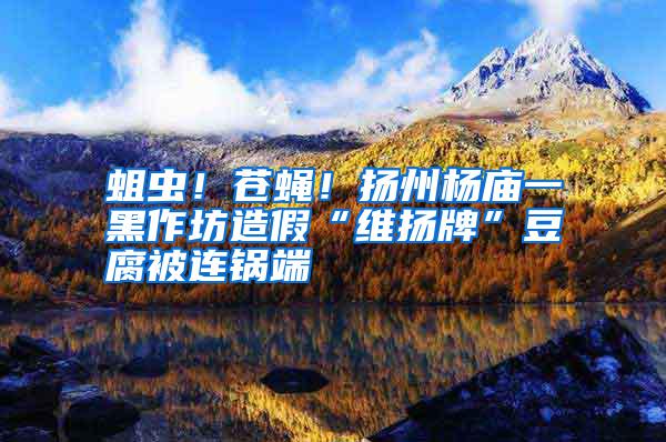 蛆蟲！蒼蠅！揚(yáng)州楊廟一黑作坊造假“維揚(yáng)牌”豆腐被連鍋端