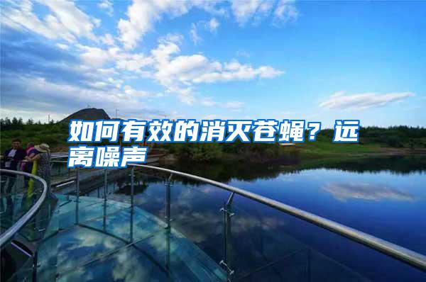 如何有效的消滅蒼蠅？遠(yuǎn)離噪聲