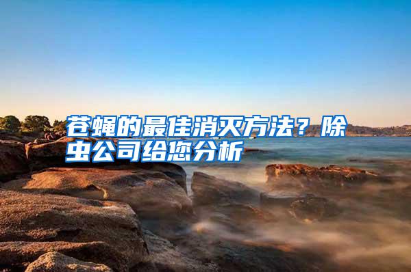 蒼蠅的最佳消滅方法？除蟲(chóng)公司給您分析