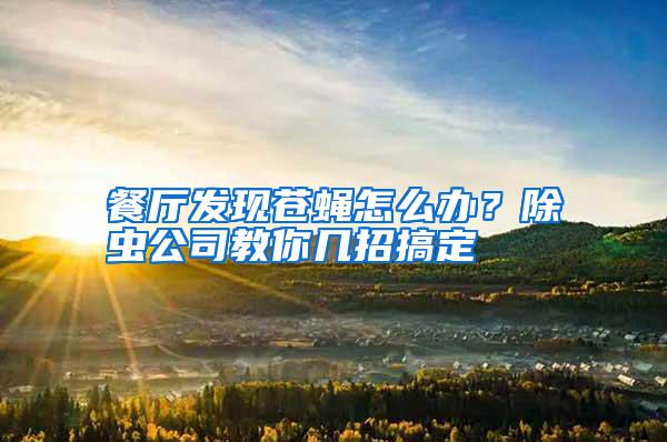 餐廳發(fā)現(xiàn)蒼蠅怎么辦？除蟲(chóng)公司教你幾招搞定