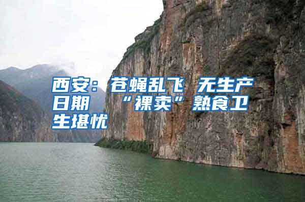 西安：蒼蠅亂飛 無(wú)生產(chǎn)日期  “裸賣(mài)”熟食衛(wèi)生堪憂(yōu)