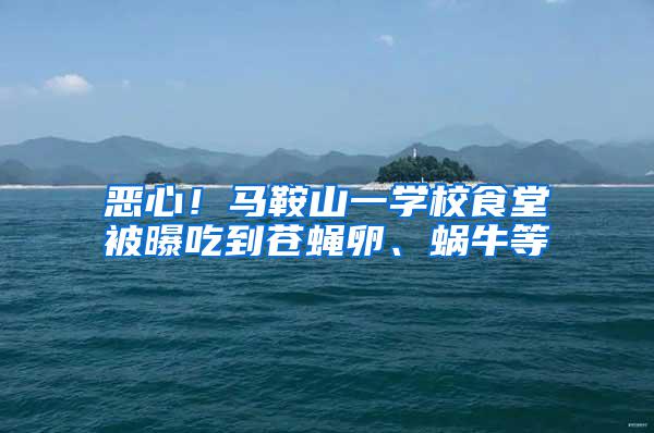 惡心！馬鞍山一學校食堂被曝吃到蒼蠅卵、蝸牛等