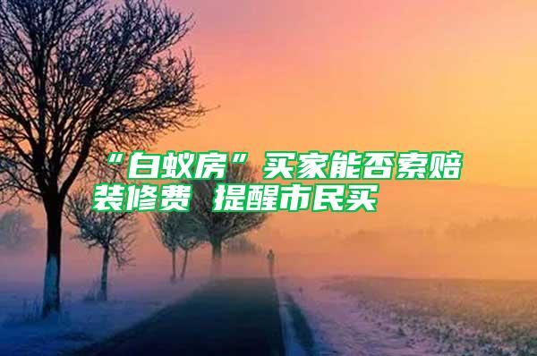 “白蟻房”買家能否索賠裝修費(fèi) 提醒市民買