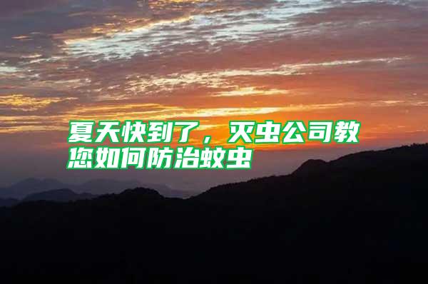 夏天快到了，滅蟲公司教您如何防治蚊蟲
