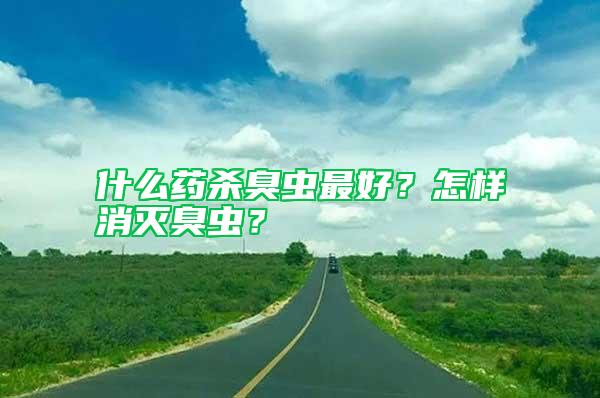 什么藥殺臭蟲最好？怎樣消滅臭蟲？