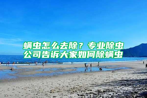 螨蟲怎么去除？專業除蟲公司告訴大家如何除螨蟲
