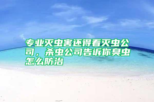 專(zhuān)業(yè)滅蟲(chóng)害還得看滅蟲(chóng)公司，殺蟲(chóng)公司告訴你臭蟲(chóng)怎么防治