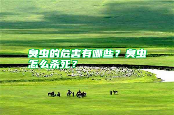 臭蟲的危害有哪些？臭蟲怎么殺死？