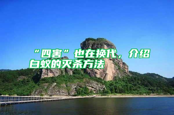 “四害”也在換代，介紹白蟻的滅殺方法