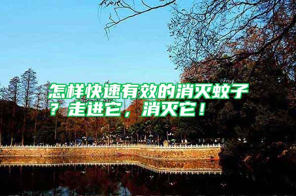 怎樣快速有效的消滅蚊子？走進它，消滅它！