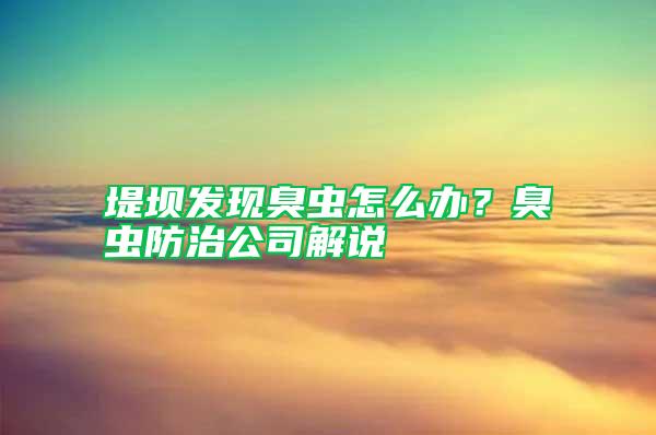 堤壩發現臭蟲怎么辦？臭蟲防治公司解說