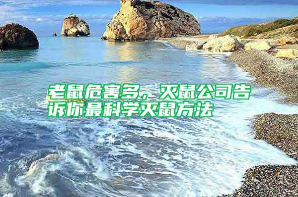 老鼠危害多，滅鼠公司告訴你最科學滅鼠方法