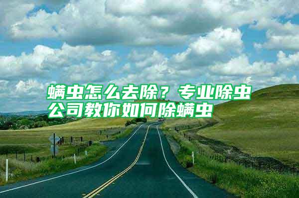 螨蟲怎么去除？專業除蟲公司教你如何除螨蟲