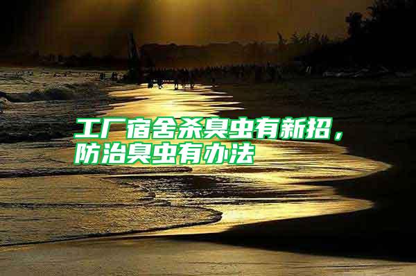 工廠宿舍殺臭蟲有新招，防治臭蟲有辦法