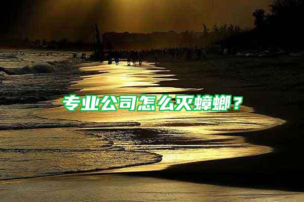 專業(yè)公司怎么滅蟑螂？