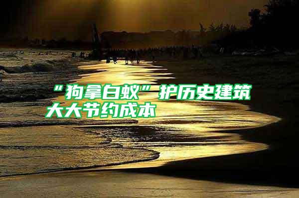 “狗拿白蟻”護歷史建筑 大大節(jié)約成本