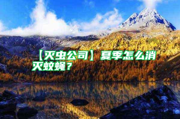 【滅蟲公司】夏季怎么消滅蚊蠅？