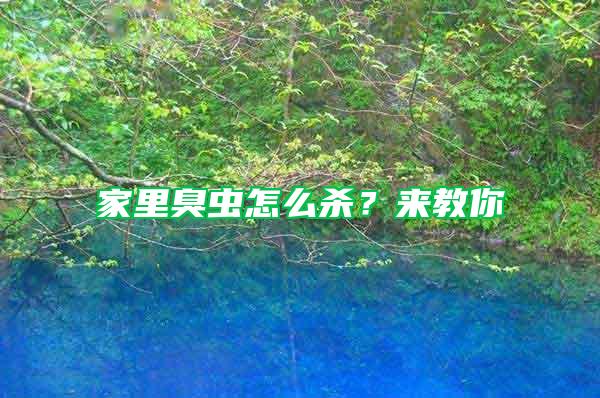 家里臭蟲(chóng)怎么殺？來(lái)教你