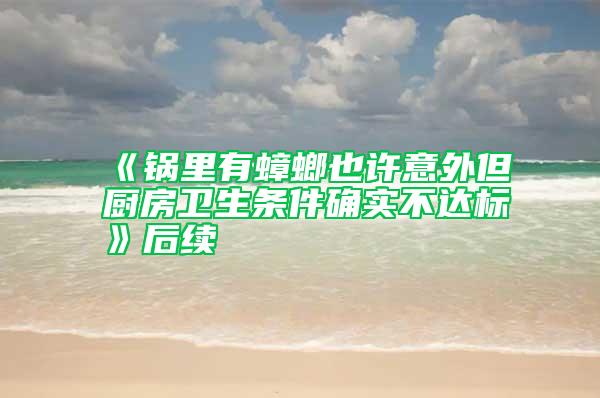 《鍋里有蟑螂也許意外但廚房衛生條件確實不達標》后續