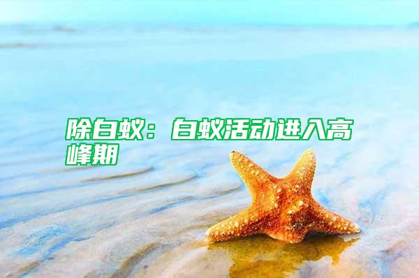 除白蟻：白蟻活動進(jìn)入高峰期