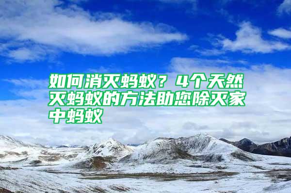 如何消滅螞蟻？4個天然滅螞蟻的方法助您除滅家中螞蟻