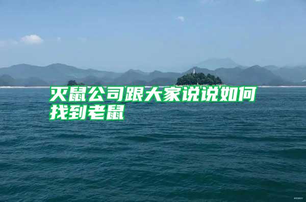 滅鼠公司跟大家說(shuō)說(shuō)如何找到老鼠
