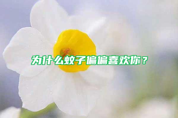 為什么蚊子偏偏喜歡你？