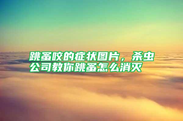 跳蚤咬的癥狀圖片，殺蟲公司教你跳蚤怎么消滅