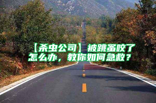 【殺蟲(chóng)公司】被跳蚤咬了怎么辦，教你如何急救？