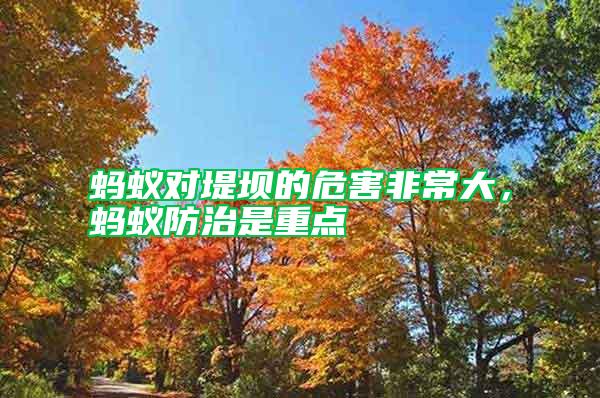 螞蟻對堤壩的危害非常大，螞蟻防治是重點