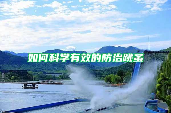 如何科學有效的防治跳蚤