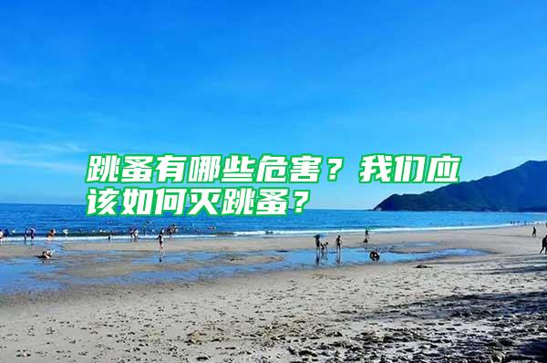 跳蚤有哪些危害？我們應該如何滅跳蚤？