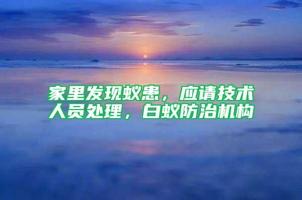 家里發現蟻患，應請技術人員處理，白蟻防治機構