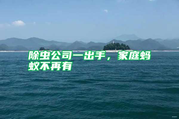 除蟲公司一出手，家庭螞蟻不再有