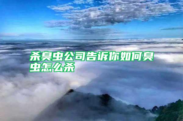 殺臭蟲(chóng)公司告訴你如何臭蟲(chóng)怎么殺