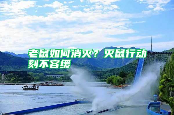 老鼠如何消滅？滅鼠行動刻不容緩