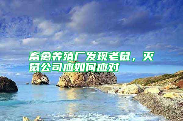 畜禽養(yǎng)殖廠發(fā)現(xiàn)老鼠，滅鼠公司應如何應對