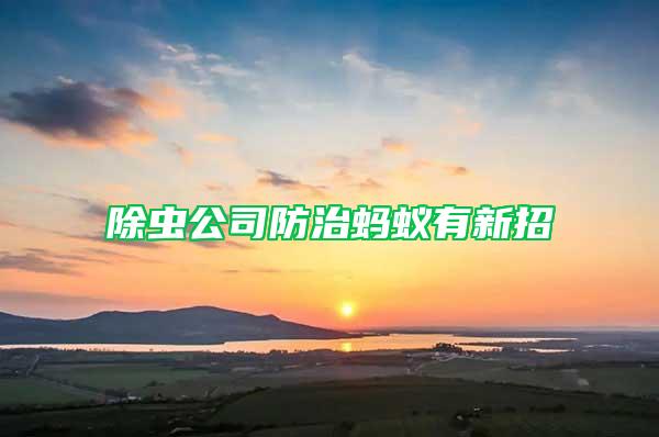 除蟲(chóng)公司防治螞蟻有新招