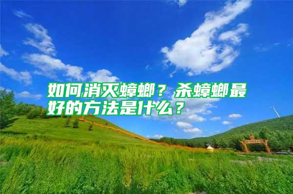如何消滅蟑螂？殺蟑螂最好的方法是什么？