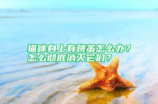 貓咪身上有跳蚤怎么辦？怎么徹底消滅它們？