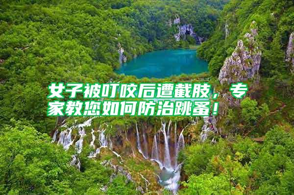 女子被叮咬后遭截肢，專家教您如何防治跳蚤！