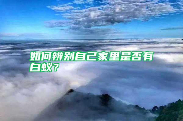 如何辨別自己家里是否有白蟻？