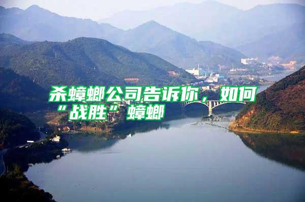 殺蟑螂公司告訴你，如何“戰(zhàn)勝”蟑螂